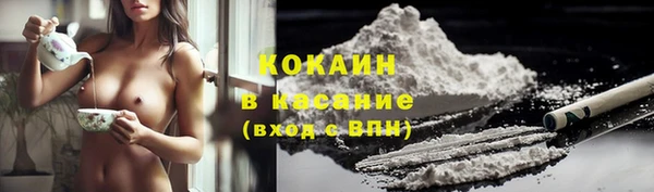 крисы Алексин