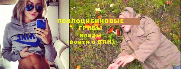 таблы Алзамай