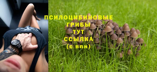таблы Алзамай