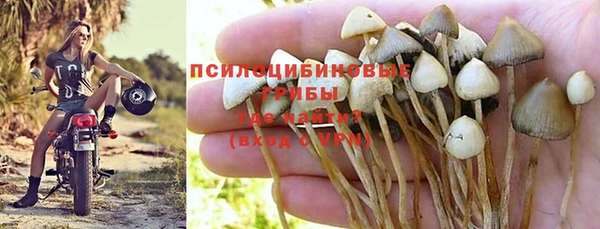 каннабис Алексеевка