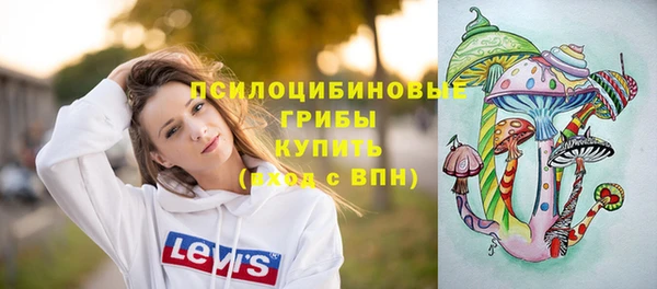 крисы Алексин