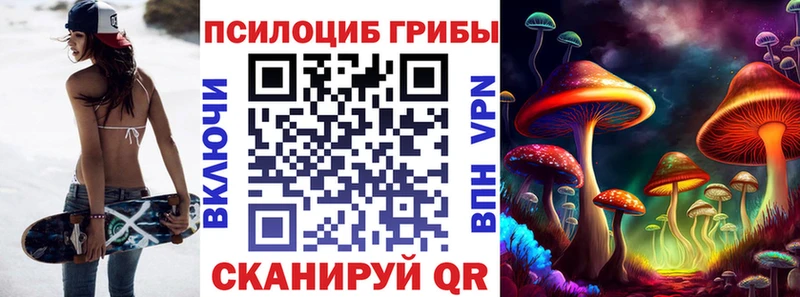 Псилоцибиновые грибы Psilocybe  ОМГ ОМГ   Старый Оскол 